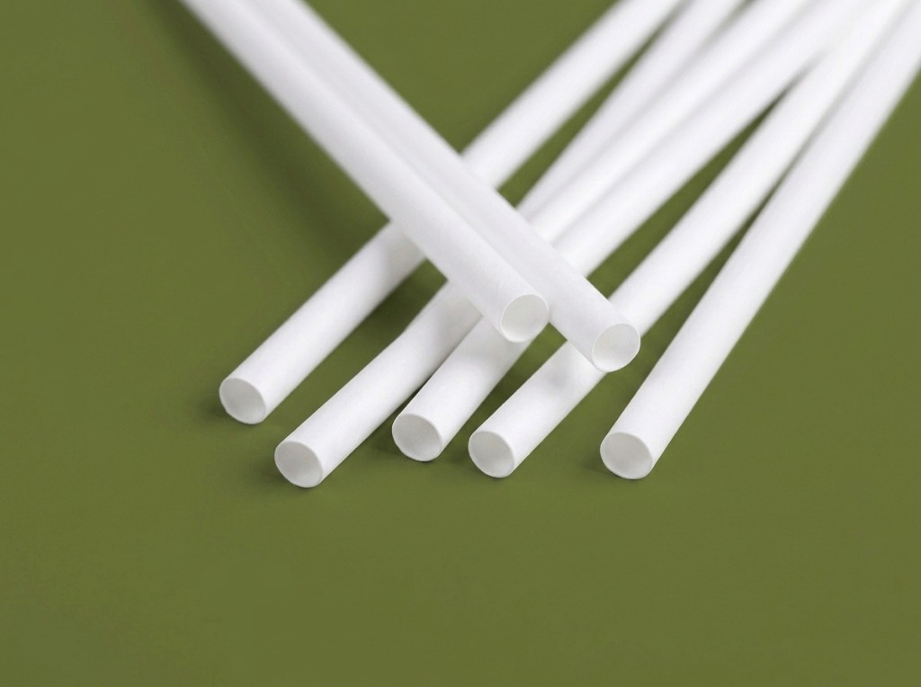 Biodegradable PLA Straws